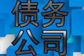 大兴安岭要账公司更多成功案例详情